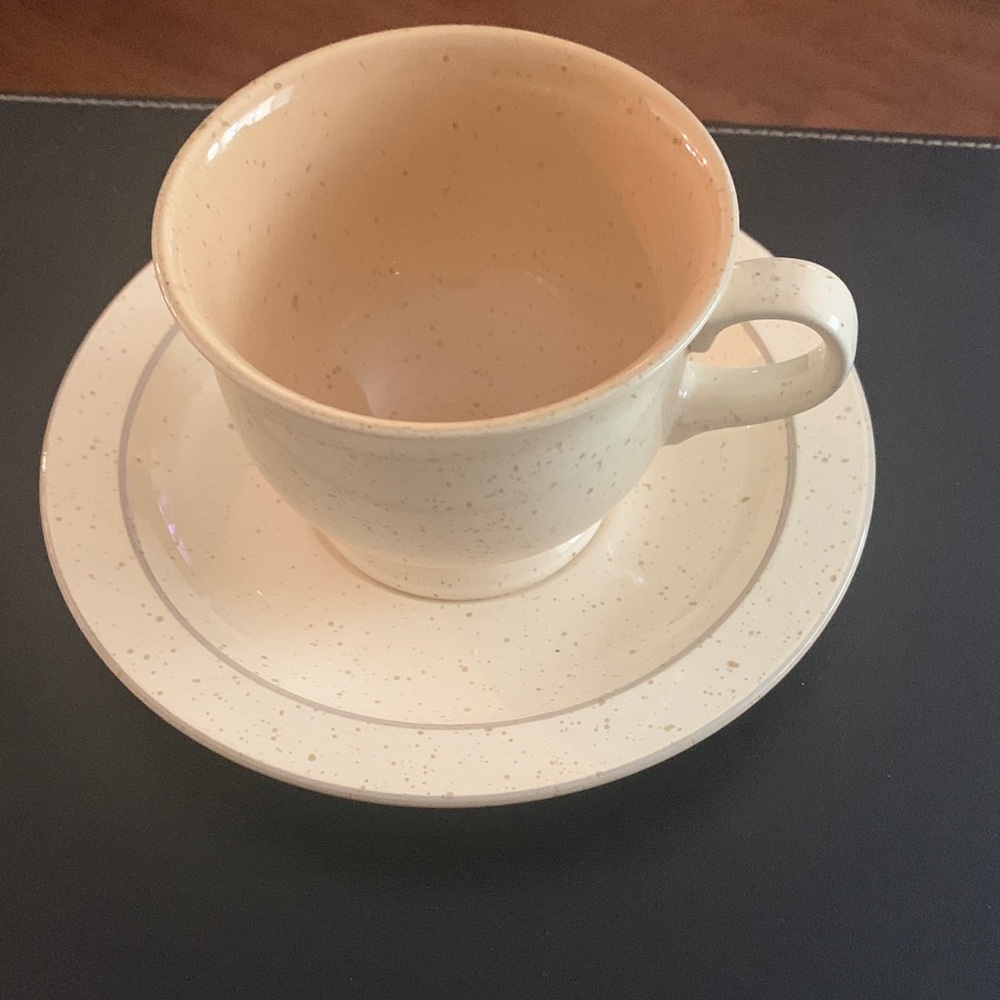 Mikasa Bermuda Sand Speckled Cup and Saucer